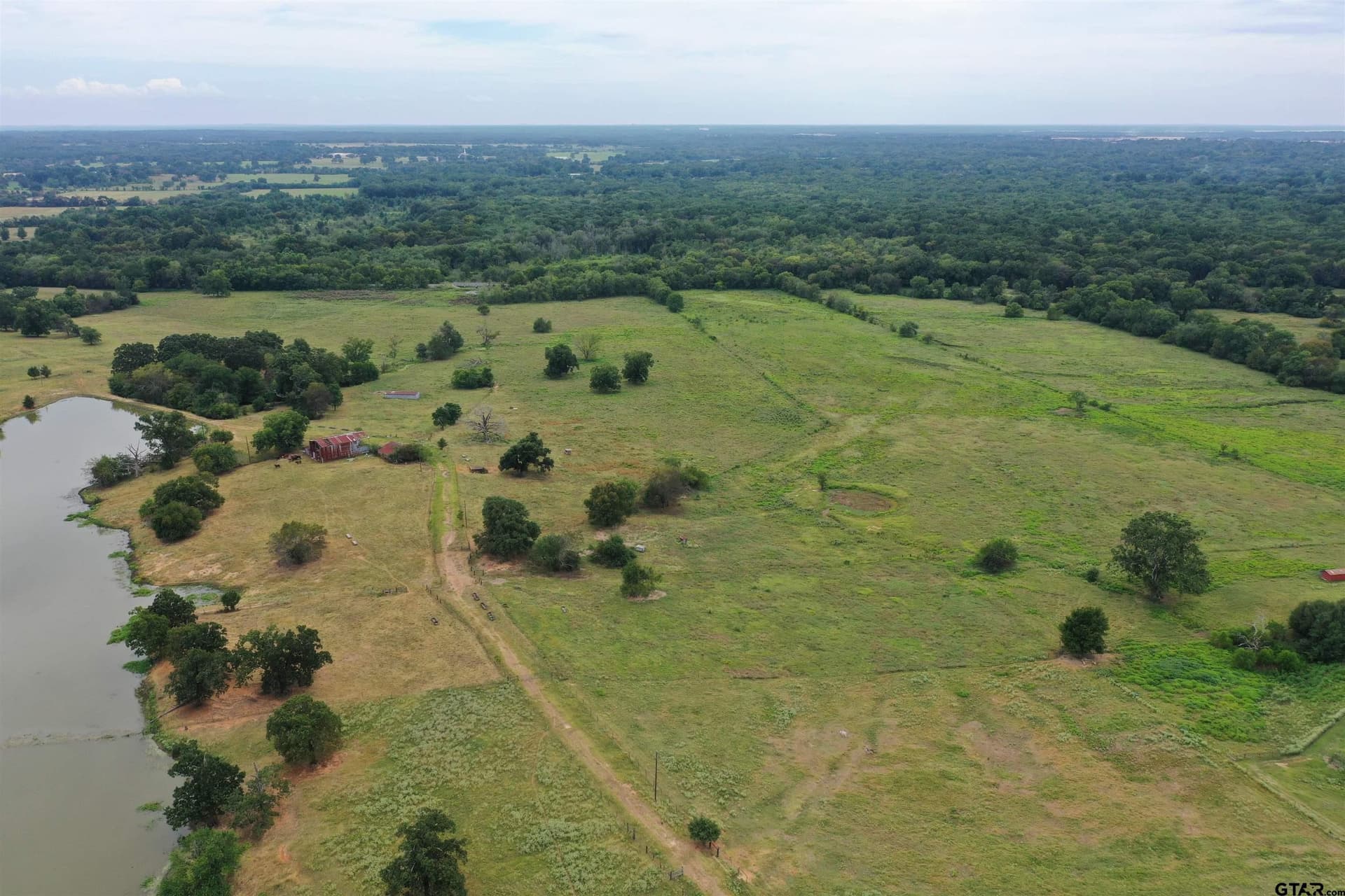 109 acres in Titus County - photo 8