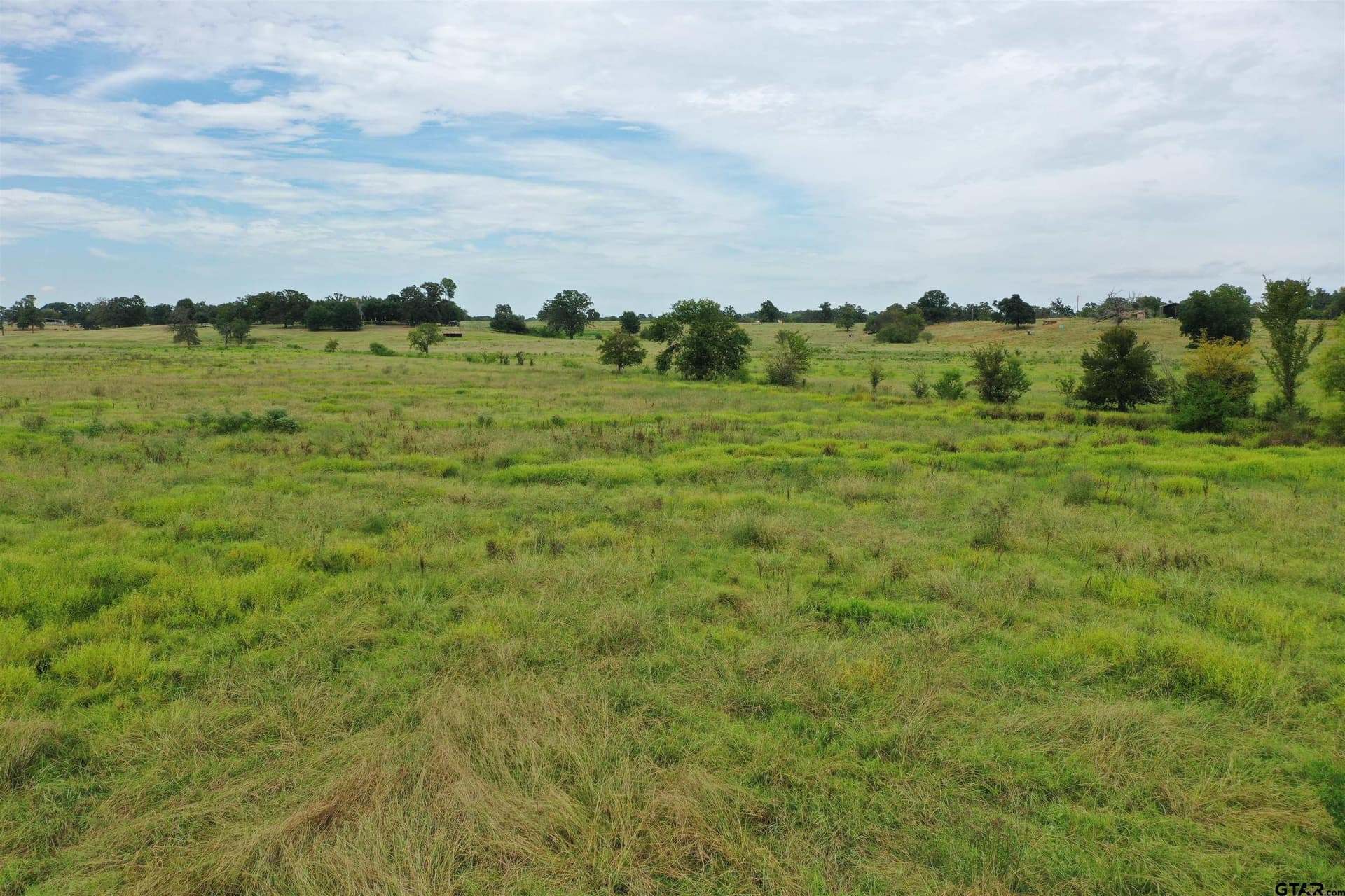 109 acres in Titus County - photo 6