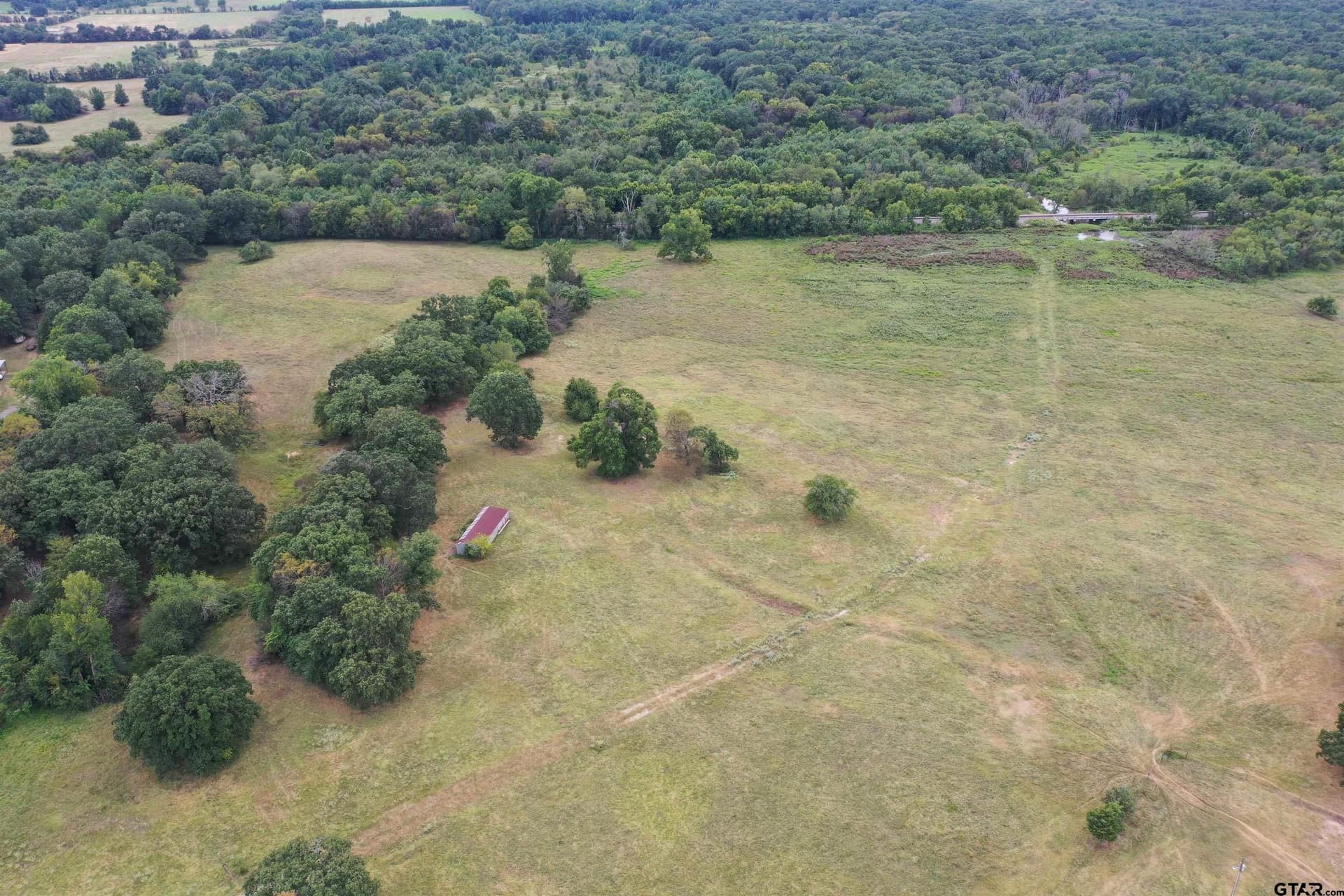 109 acres in Titus County - photo 9