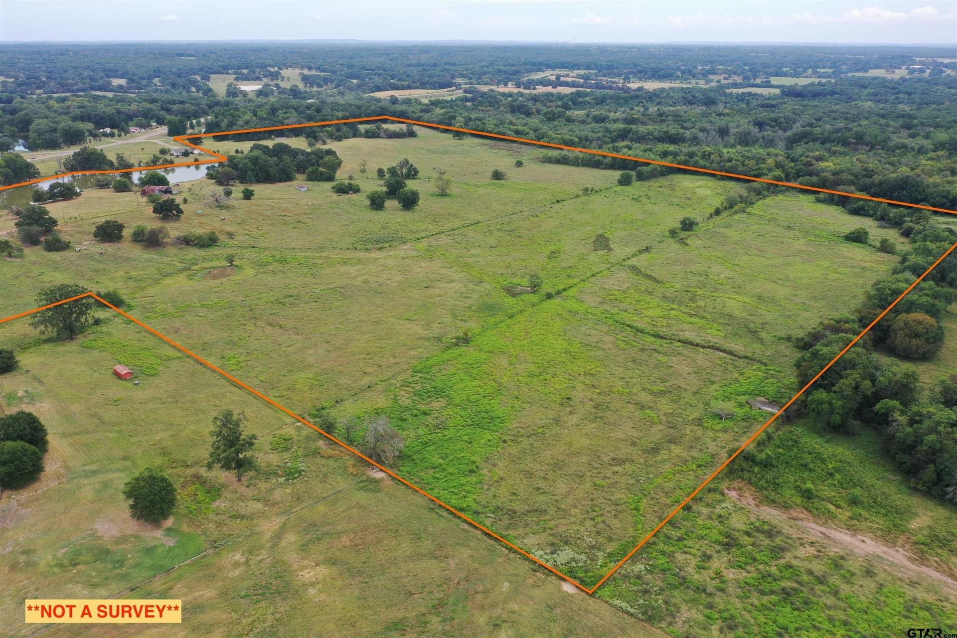 109 acres in Titus County - photo 3