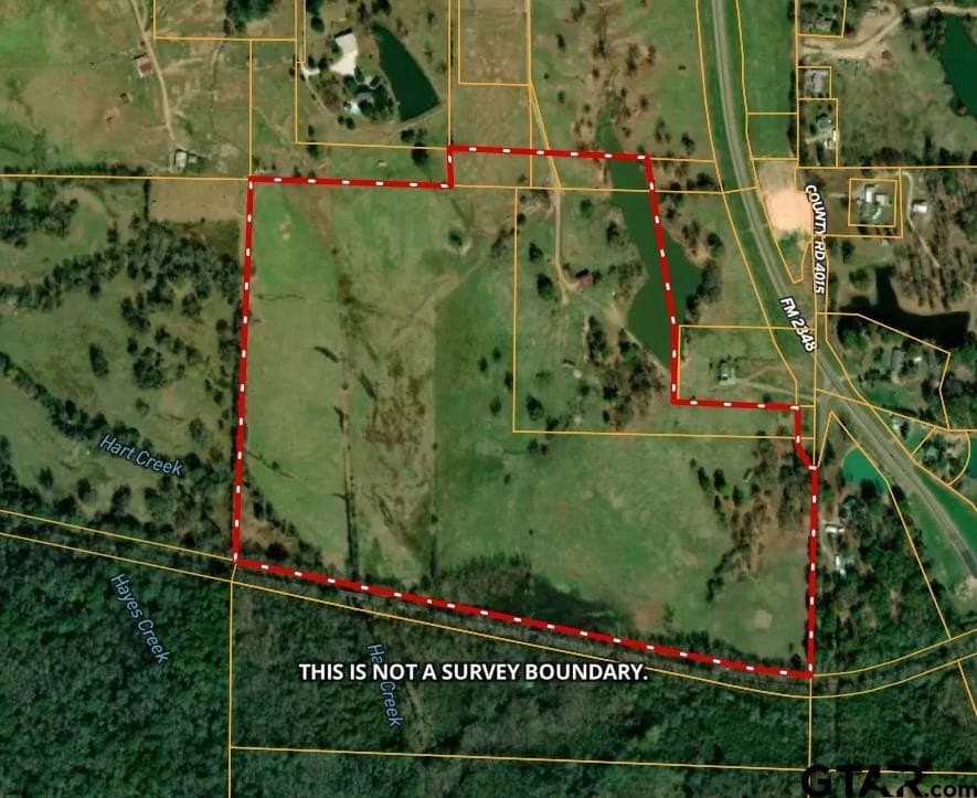 109 acres in Titus County - photo 10