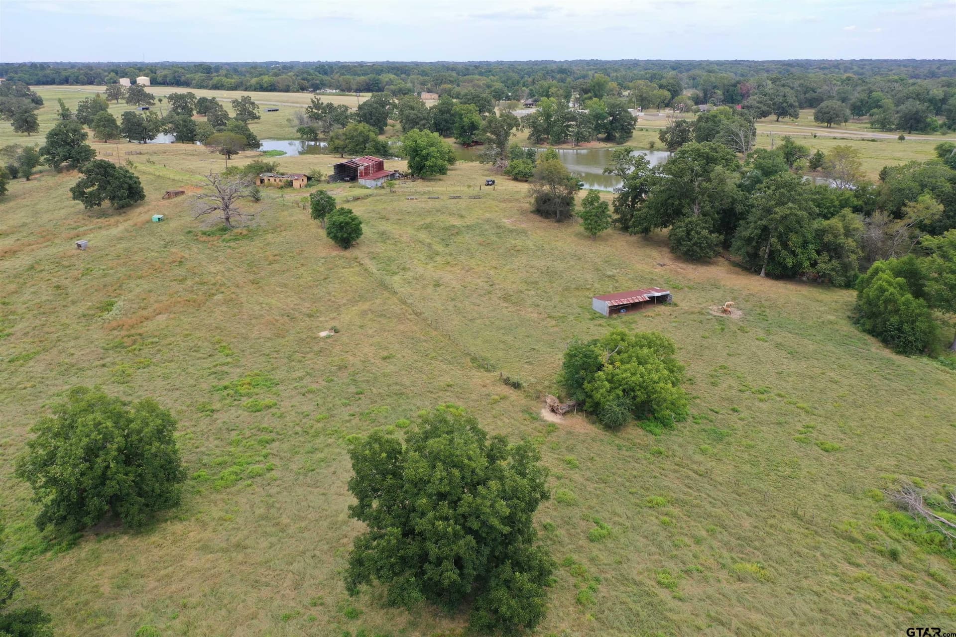 109 acres in Titus County - photo 4
