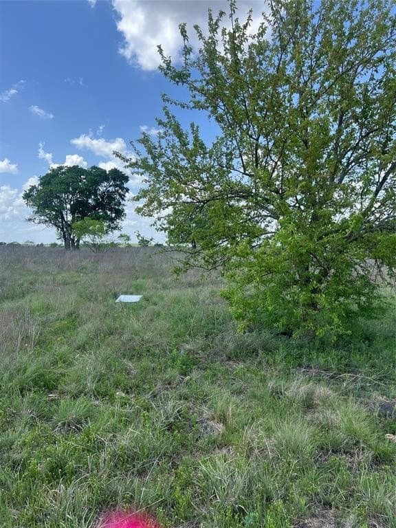 10.01 acres in Hamilton County - photo 3