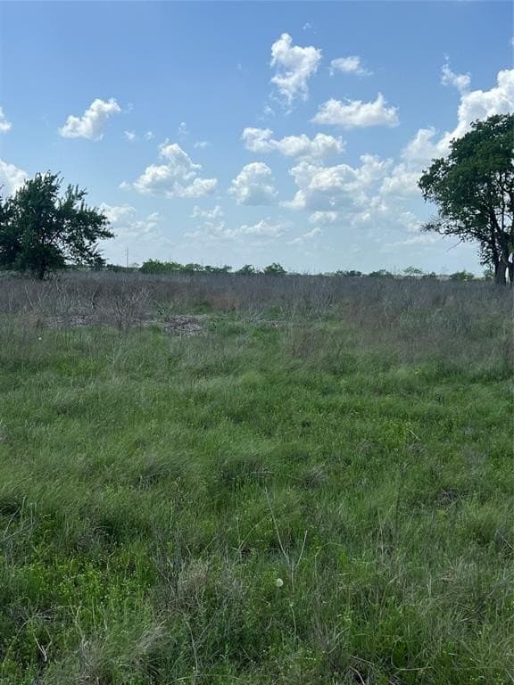 10.01 acres in Hamilton County - photo 5