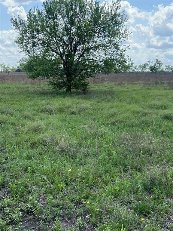 10.01 acres in Hamilton County - photo 7
