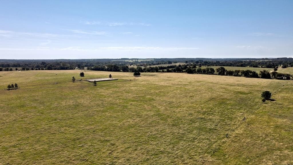 30 acres in Henderson County - photo 4