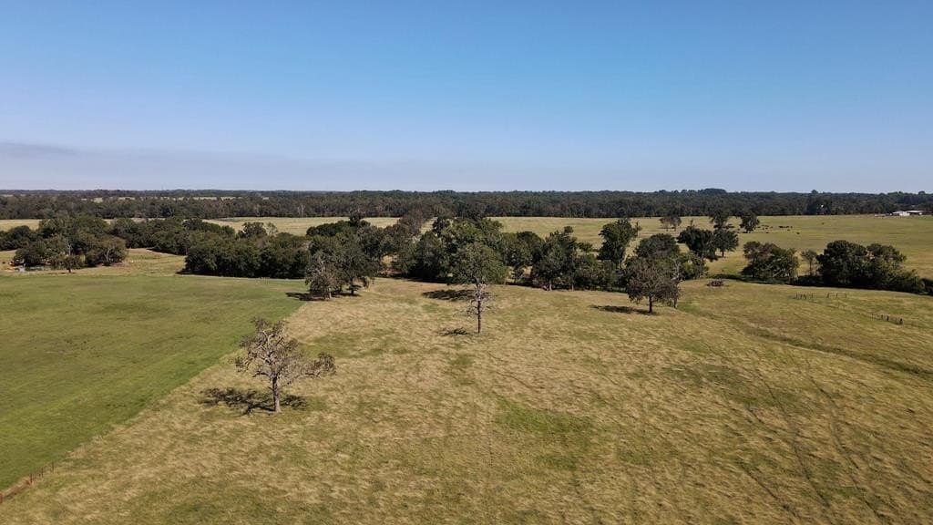 30 acres in Henderson County - photo 5
