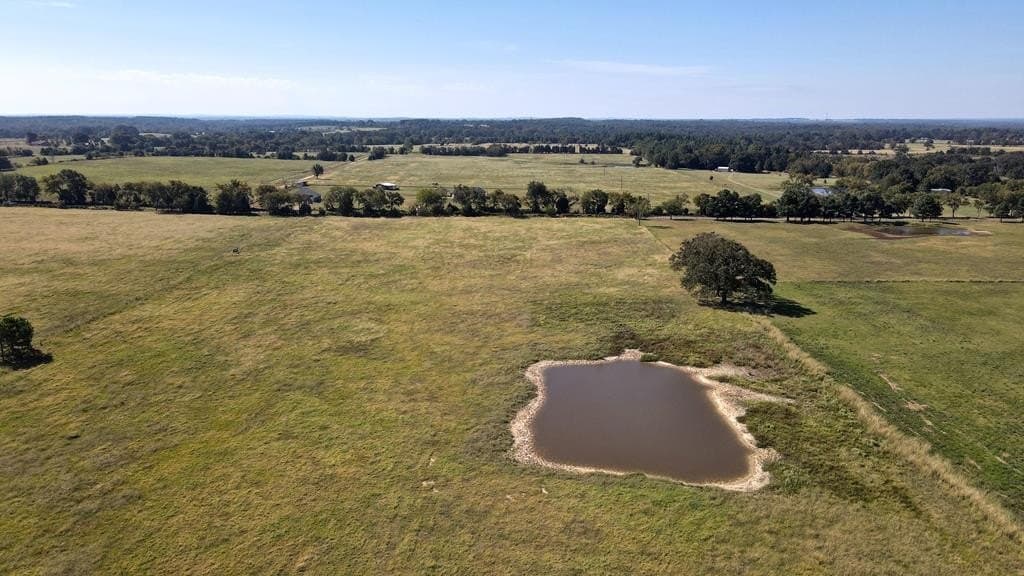 30 acres in Henderson County - photo 6