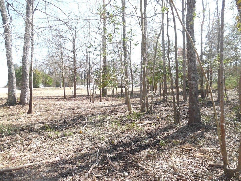 0.17 acres in Van Zandt County - photo 3