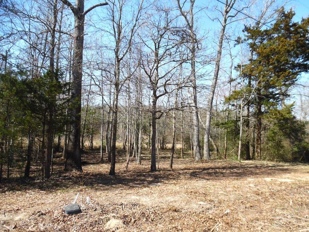 0.17 acres in Van Zandt County - photo 5