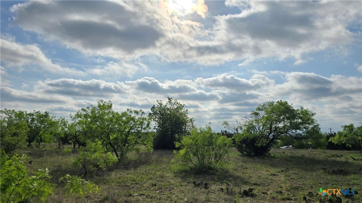 10.1 acres in Coryell County - photo 8