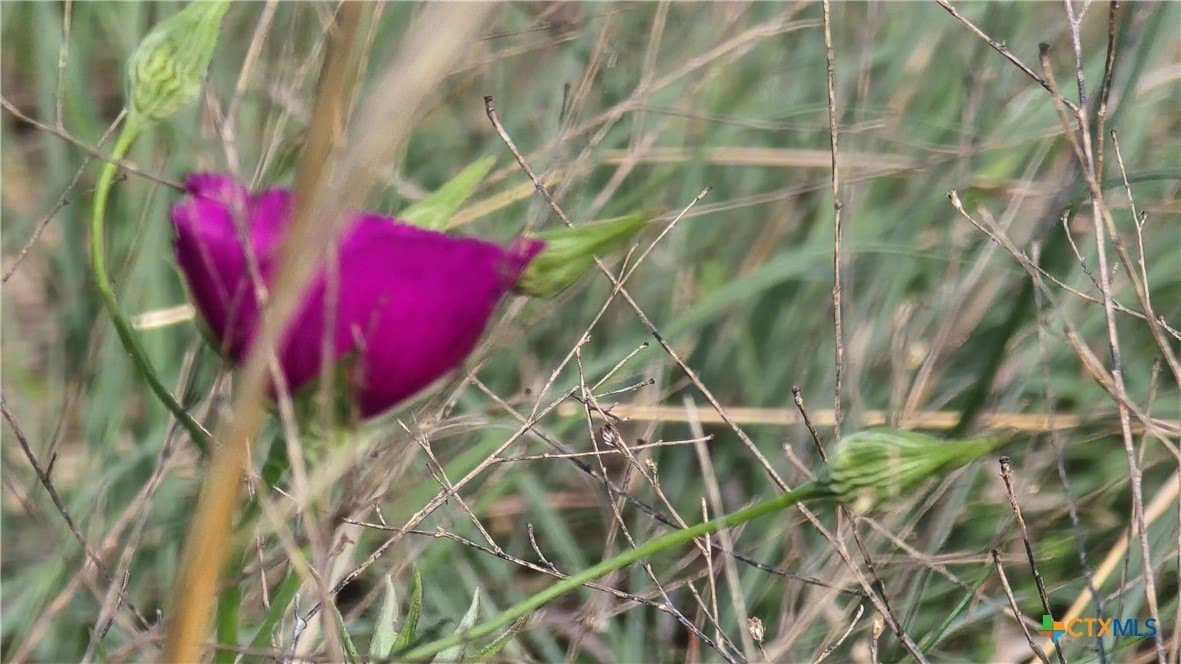 10.1 acres in Coryell County - photo 15