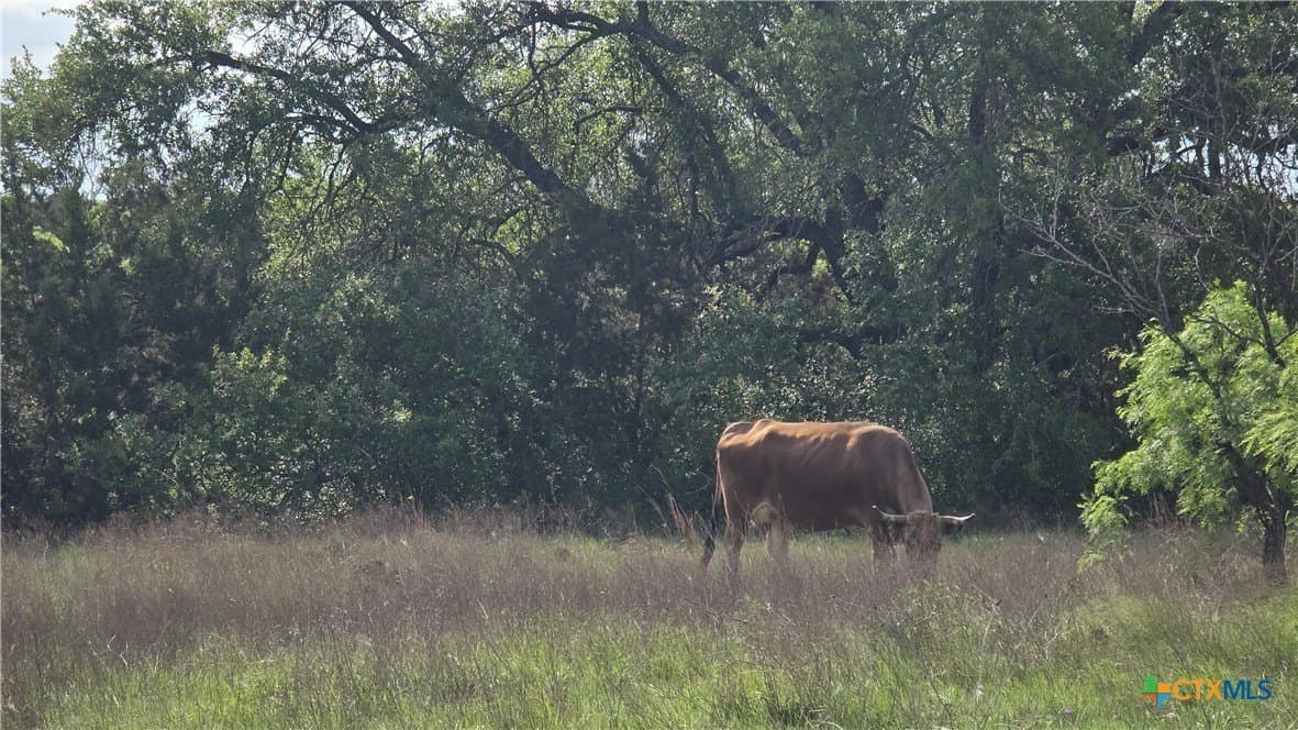10.1 acres in Coryell County - photo 19