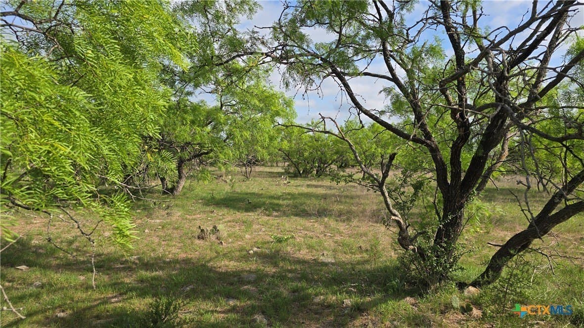 10.1 acres in Coryell County - photo 9