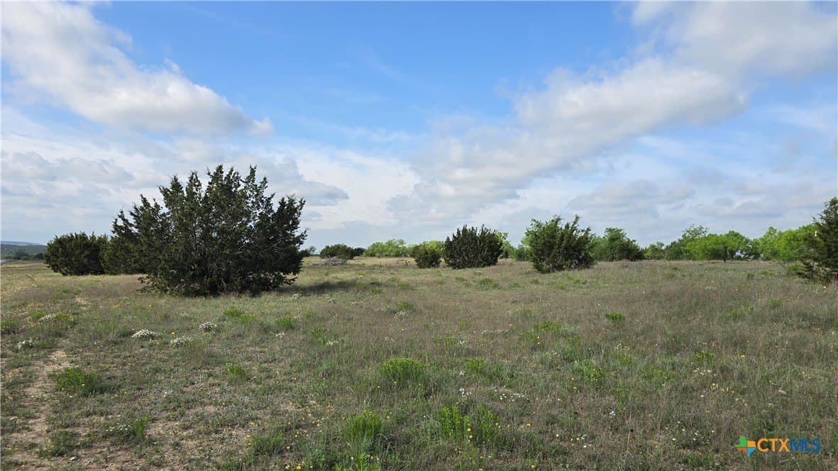 10.1 acres in Coryell County - photo 13