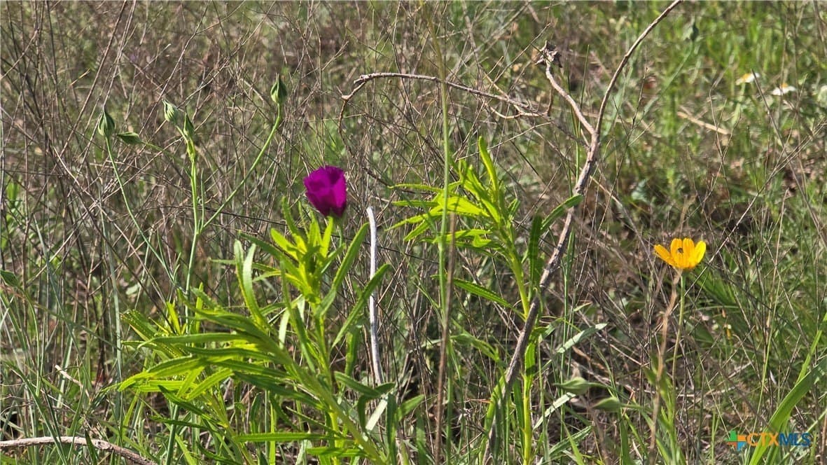 10.1 acres in Coryell County - photo 12