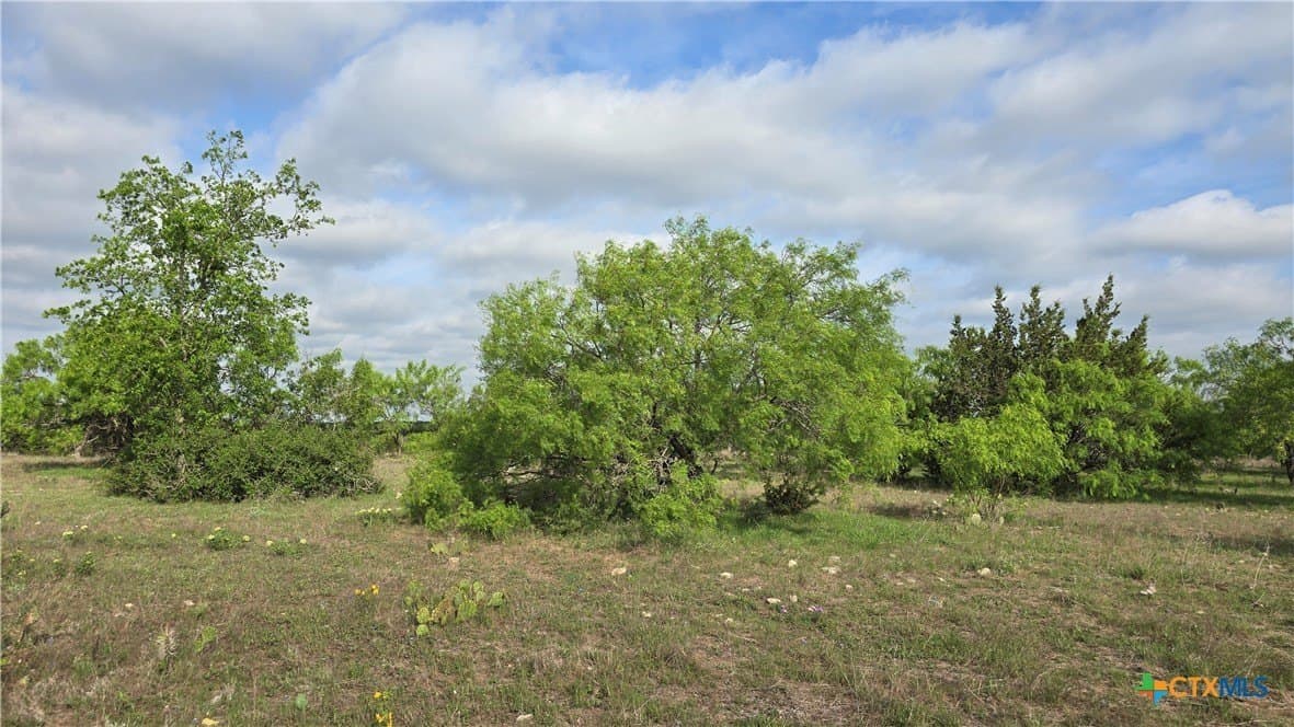 10.1 acres in Coryell County - photo 3