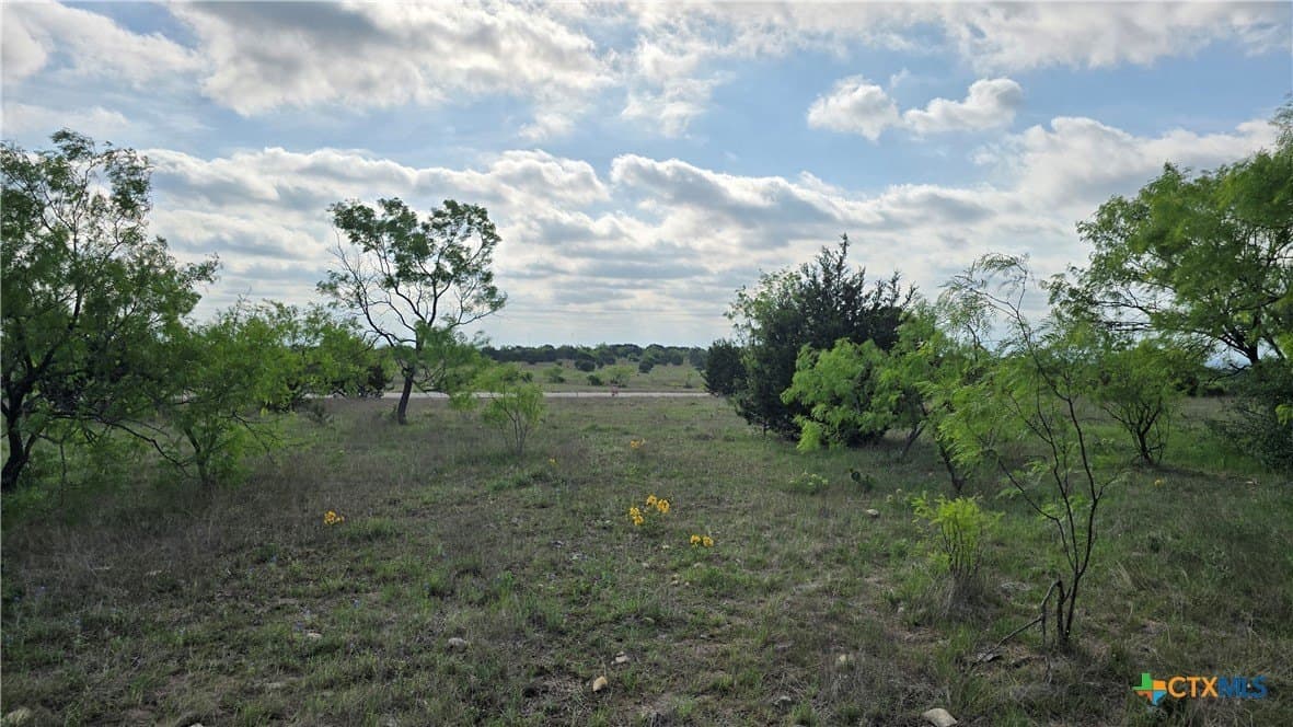 10.1 acres in Coryell County - photo 10