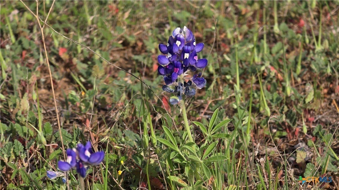 10.1 acres in Coryell County - photo 2