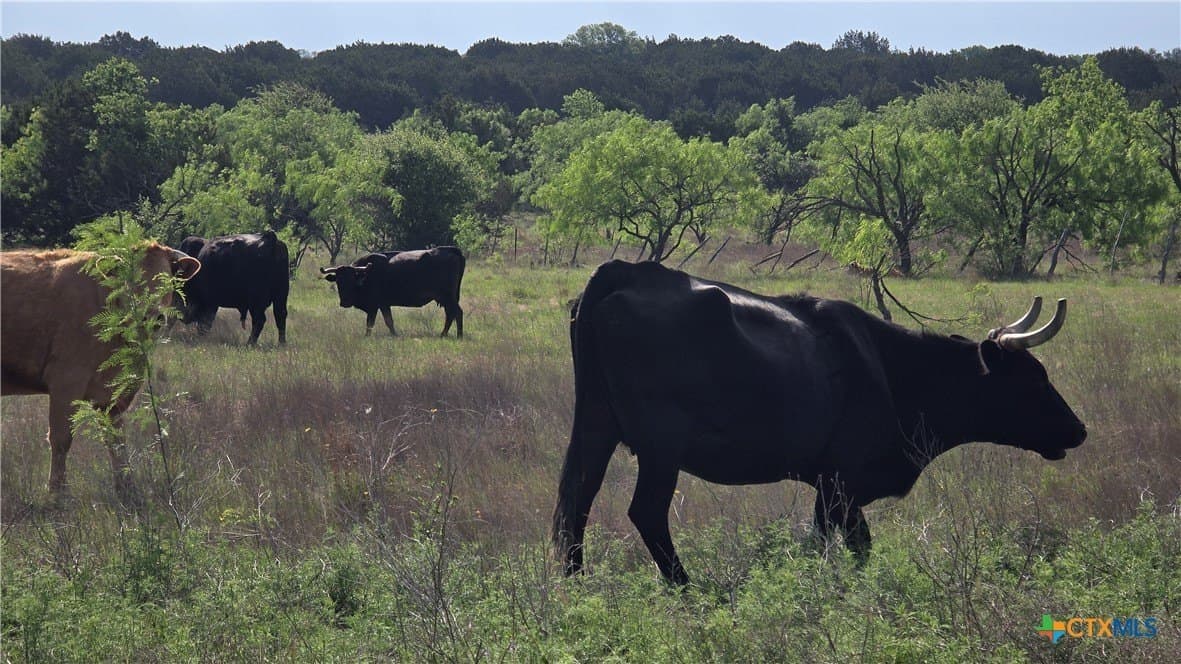 10.1 acres in Coryell County - photo 20