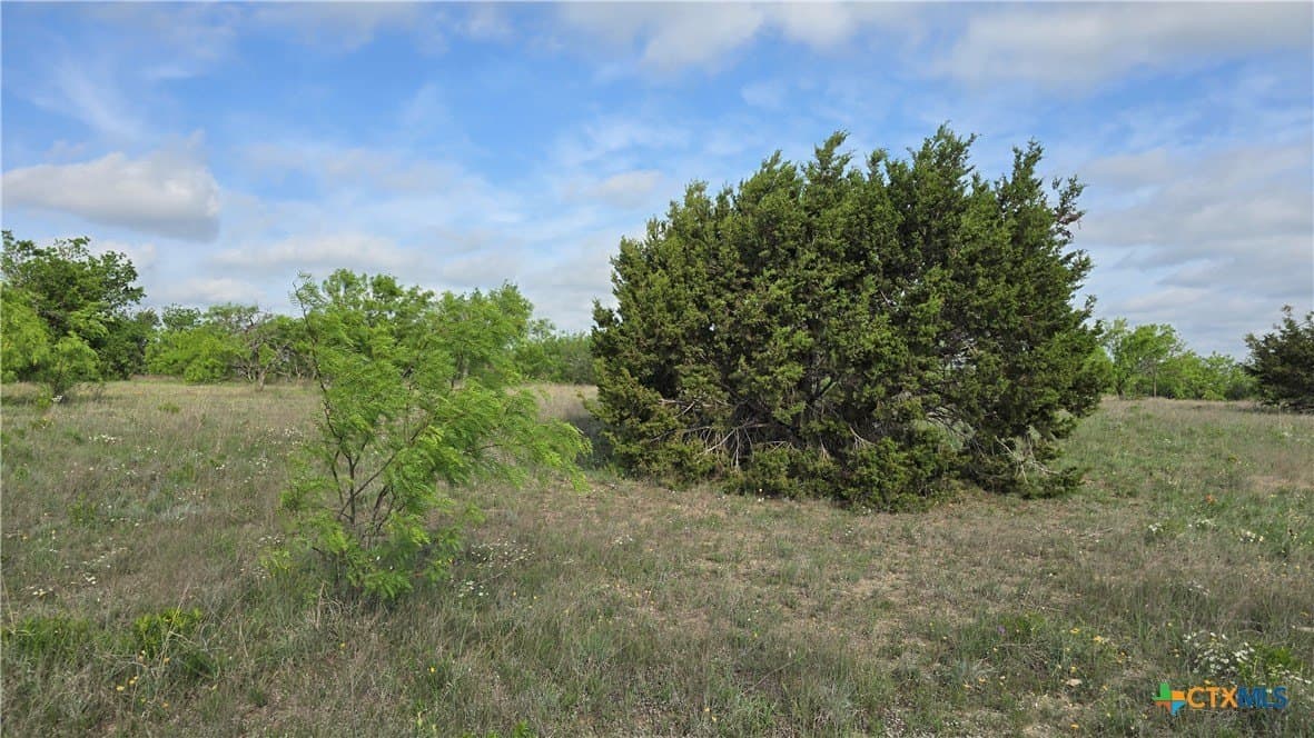 10.1 acres in Coryell County - photo 14