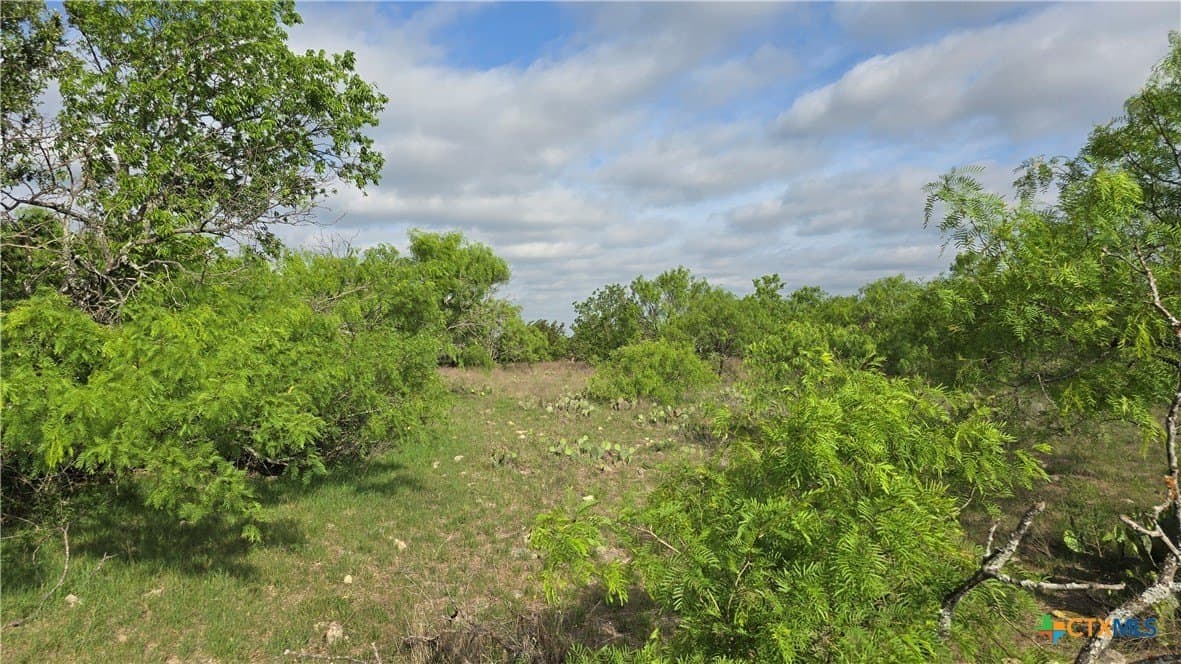 10.1 acres in Coryell County - photo 7