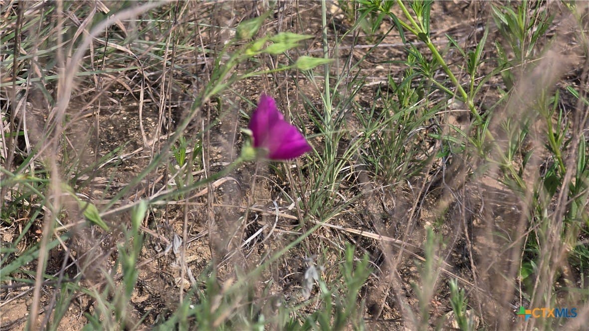 10.1 acres in Coryell County - photo 16