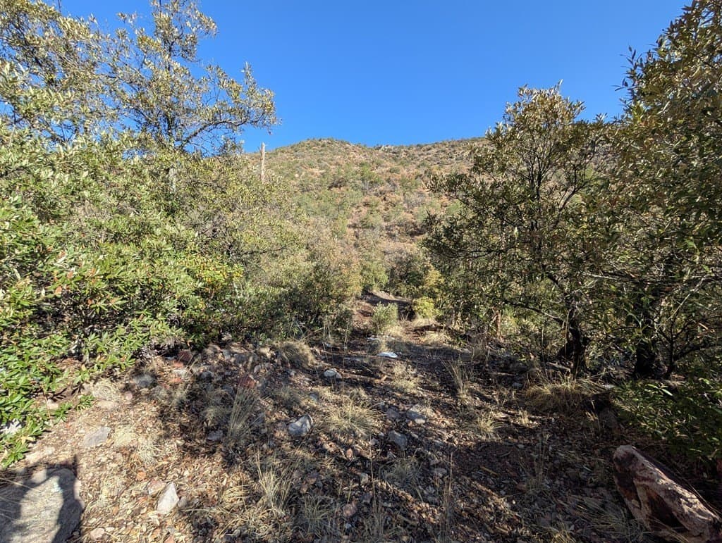 15.31 acres in Jeff Davis County - photo 2