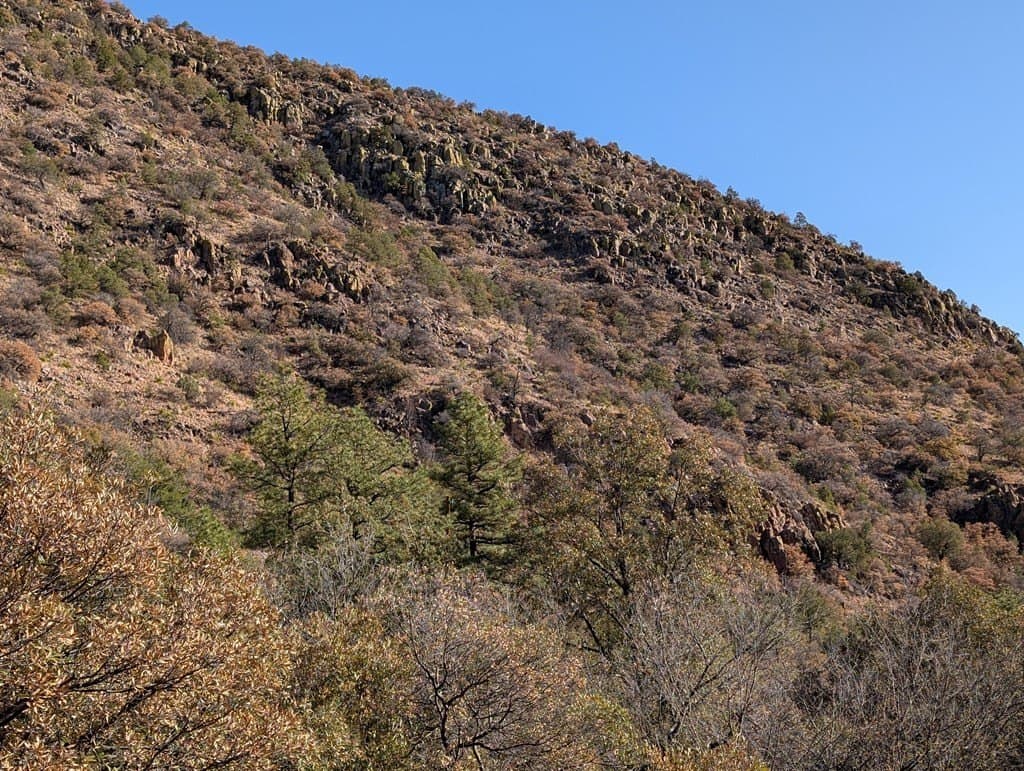15.31 acres in Jeff Davis County - photo 20