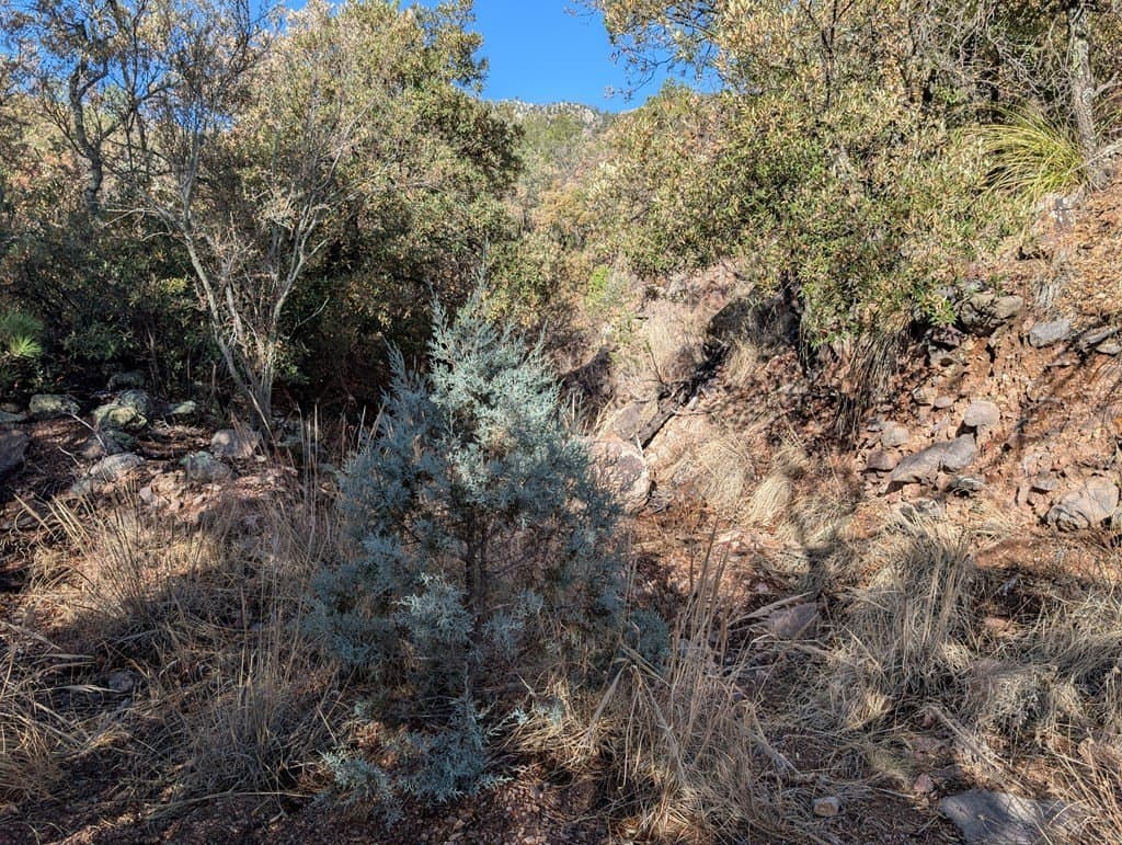 15.31 acres in Jeff Davis County - photo 16