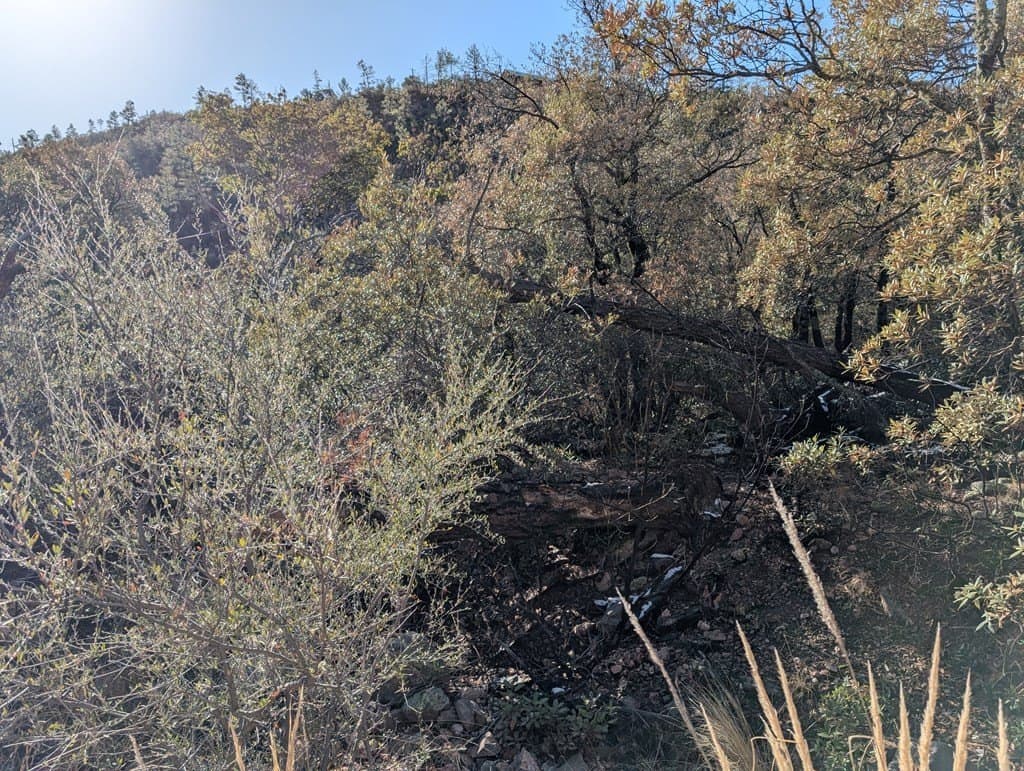 15.31 acres in Jeff Davis County - photo 10