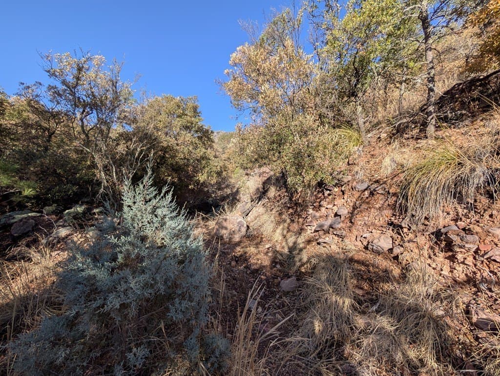 15.31 acres in Jeff Davis County - photo 9