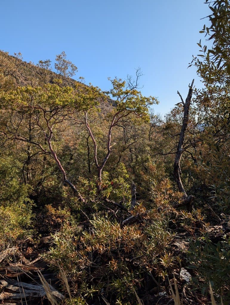 15.31 acres in Jeff Davis County - photo 8