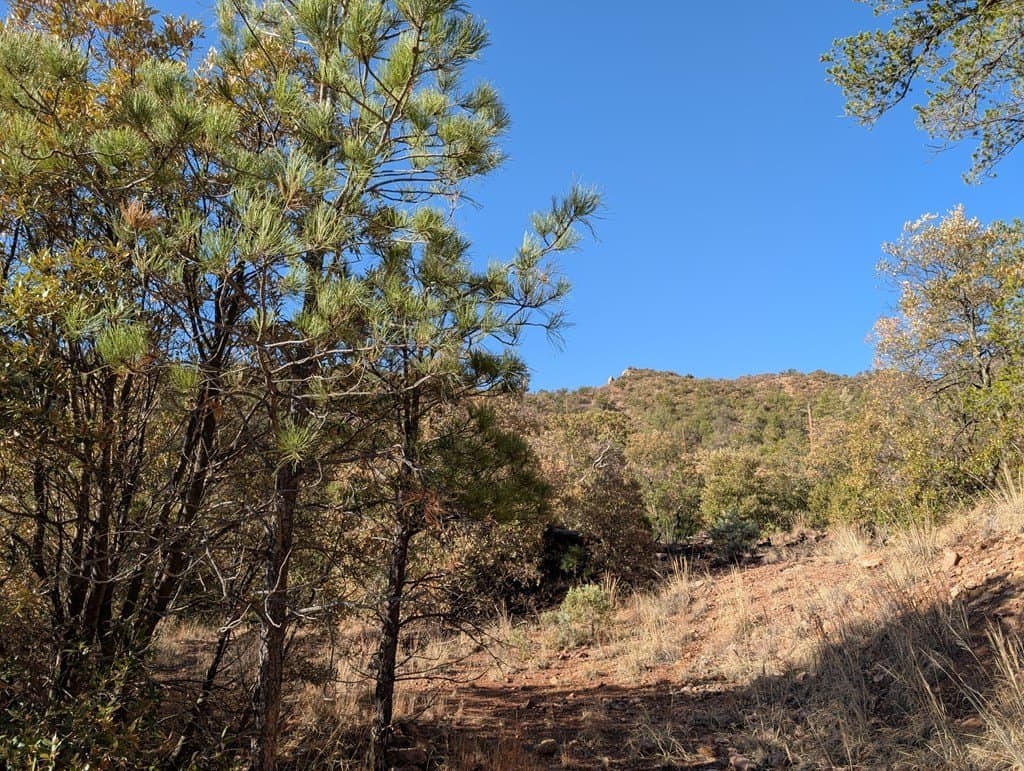 15.31 acres in Jeff Davis County - photo 14