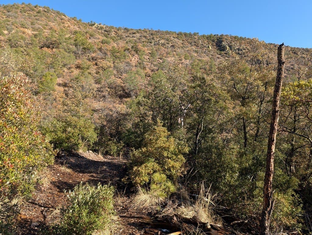 15.31 acres in Jeff Davis County - photo 6