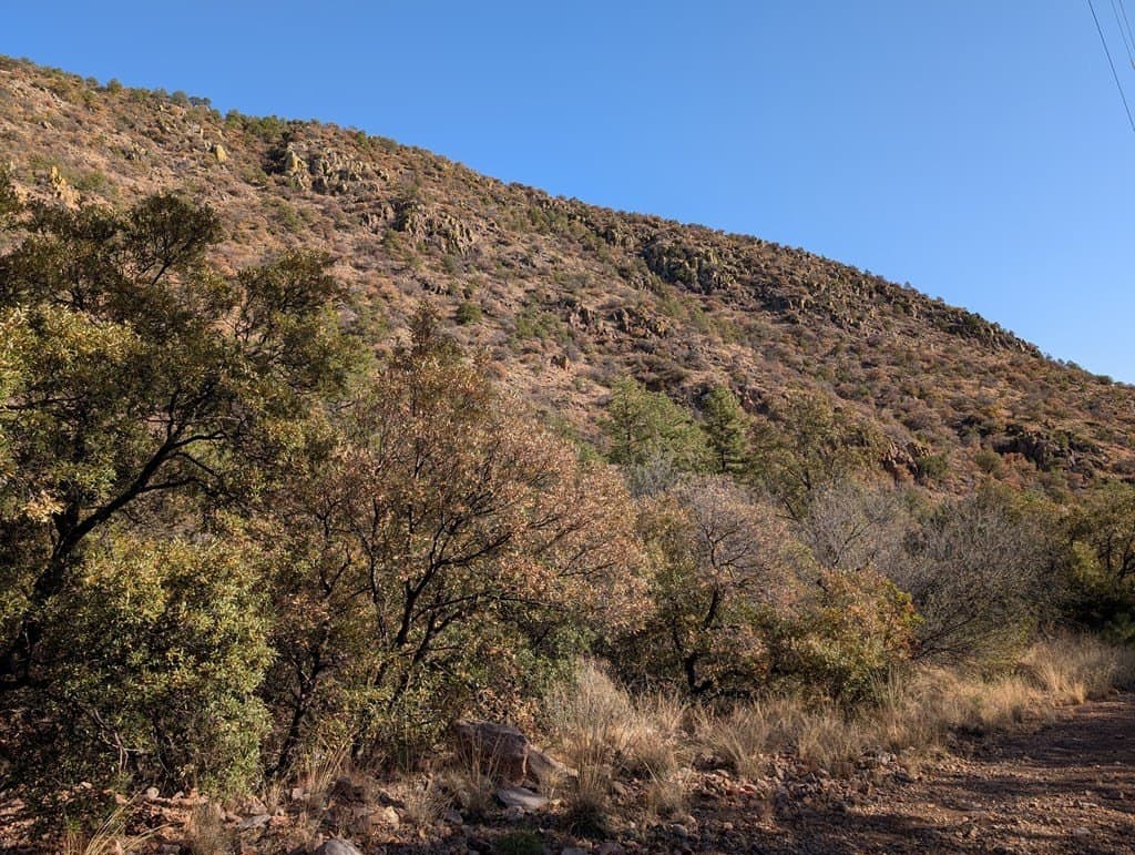 15.31 acres in Jeff Davis County - photo 18