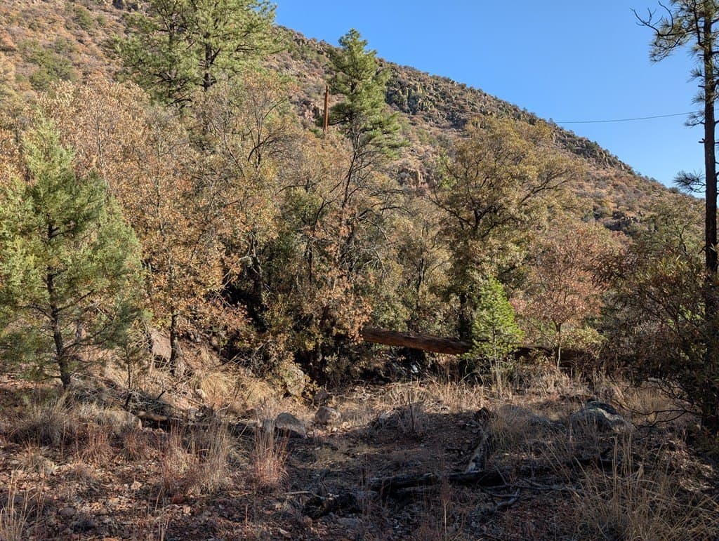 15.31 acres in Jeff Davis County - photo 22