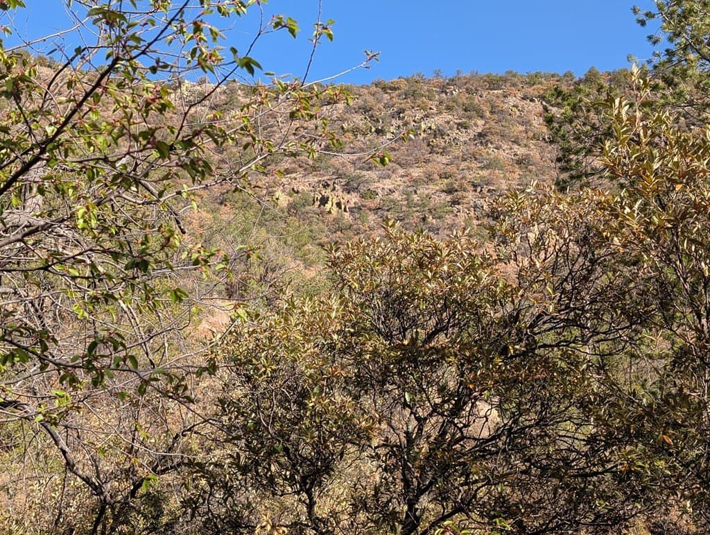 15.31 acres in Jeff Davis County - photo 17