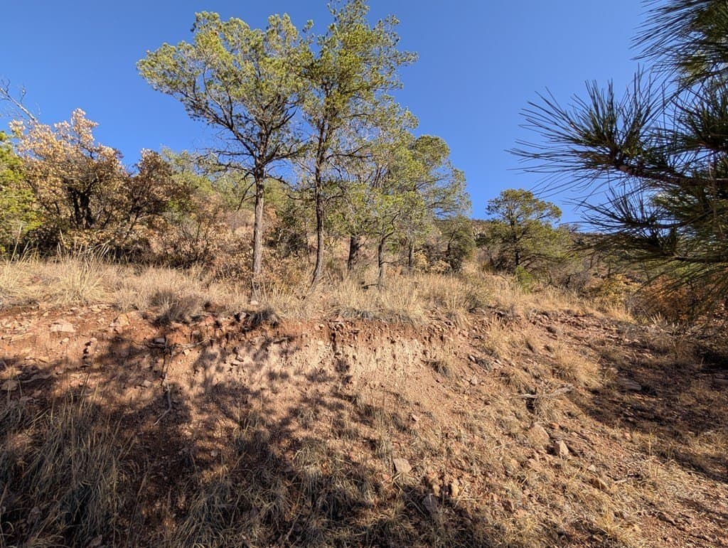 15.31 acres in Jeff Davis County - photo 13