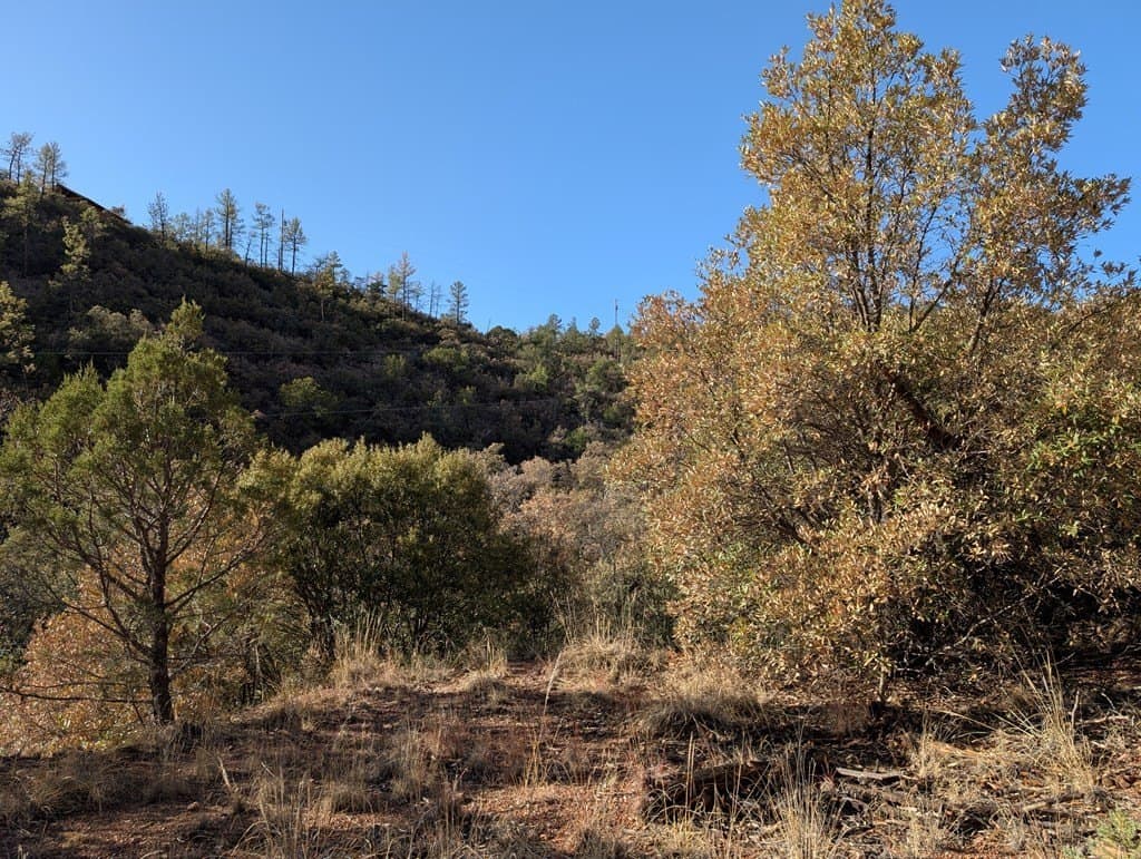15.31 acres in Jeff Davis County - photo 12