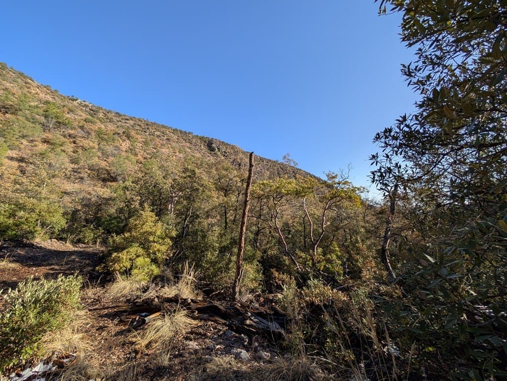 15.31 acres in Jeff Davis County - photo 3