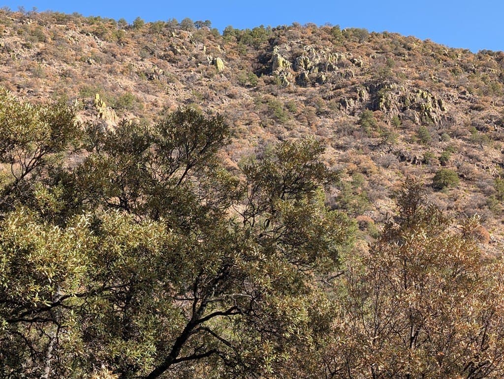 15.31 acres in Jeff Davis County - photo 19