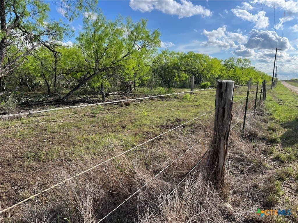 50.01 acres in Gonzales County - photo 7