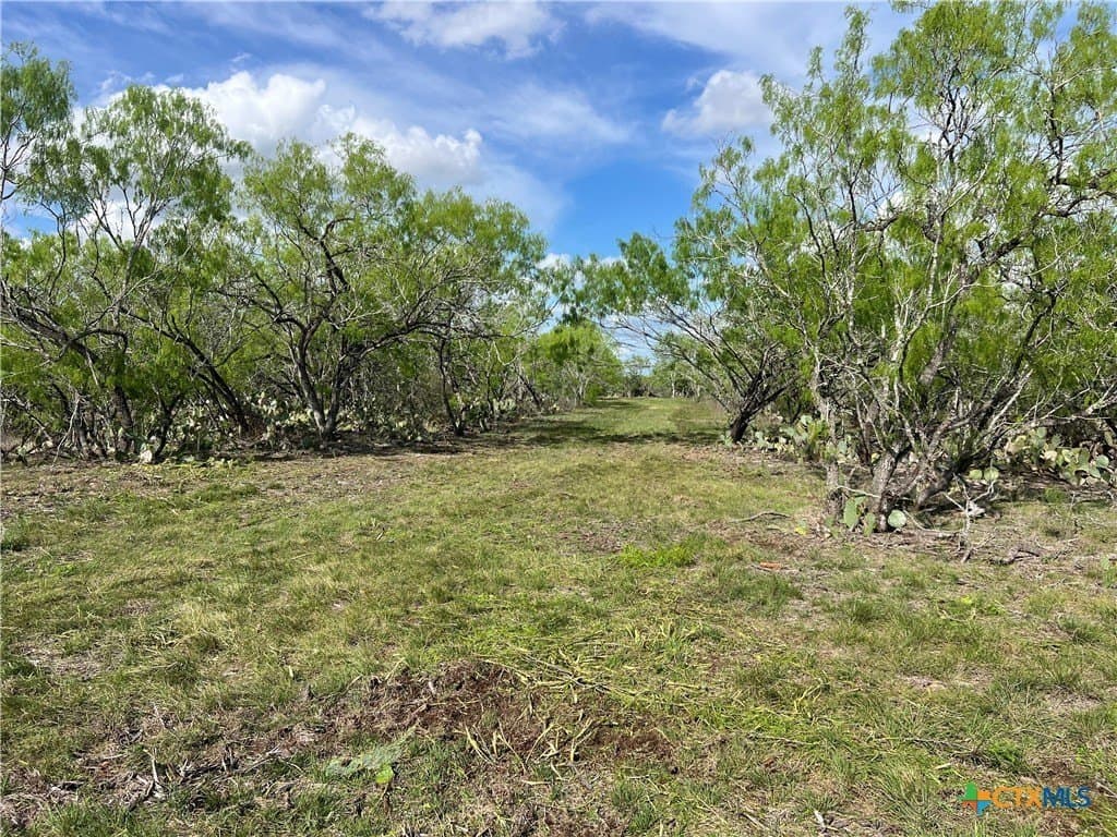 50.01 acres in Gonzales County - photo 4
