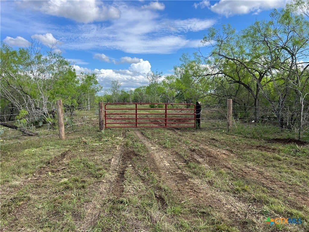 50.01 acres in Gonzales County - photo 6