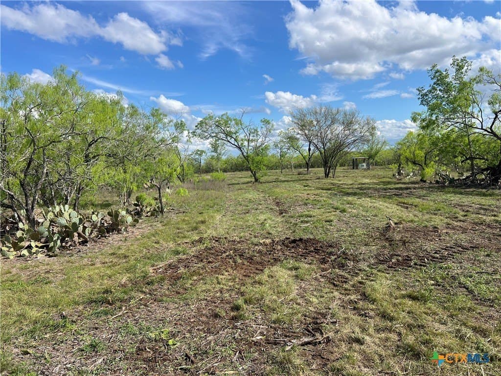 50.01 acres in Gonzales County - photo 3