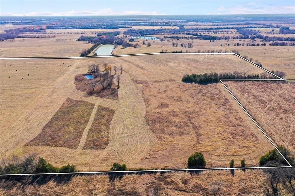 121.5 acres in Lamar County - photo 4