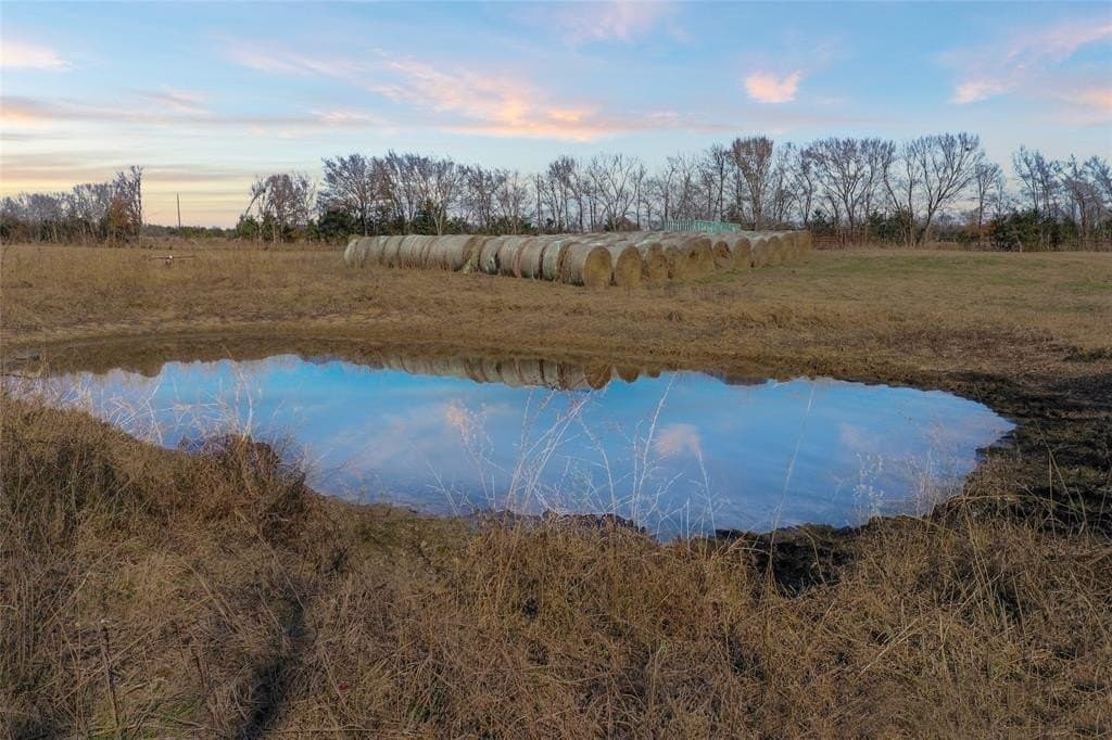 121.5 acres in Lamar County - photo 29