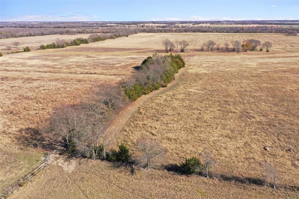 121.5 acres in Lamar County - photo 7