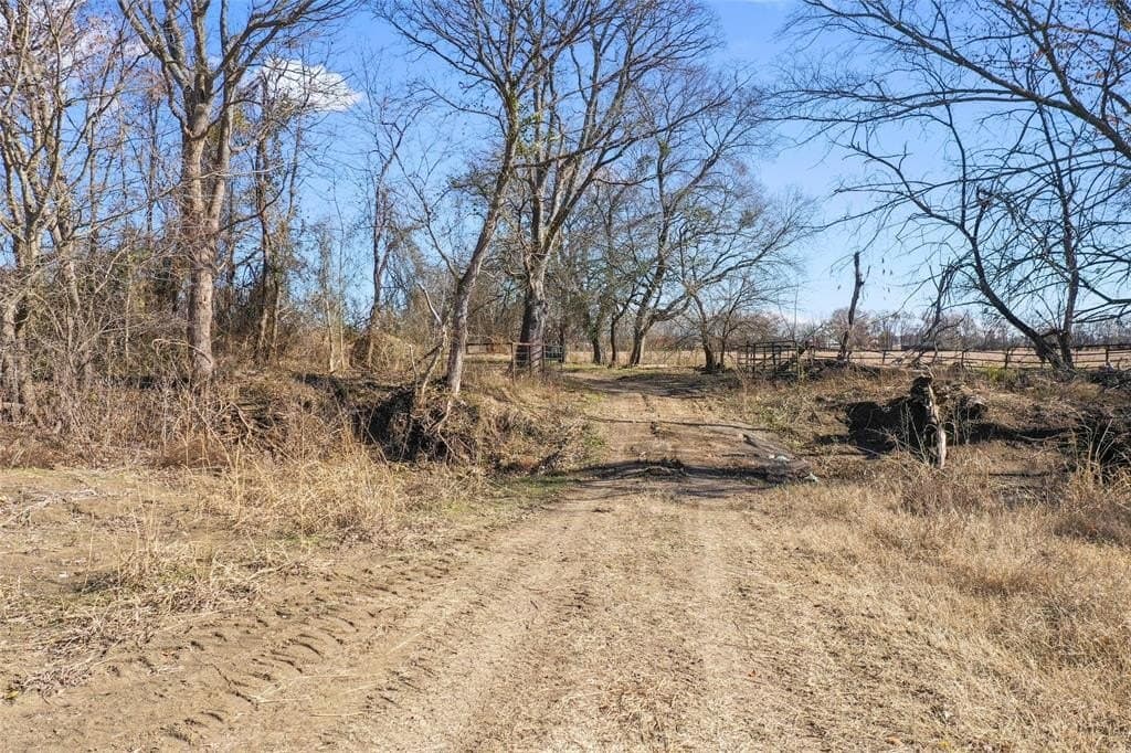 121.5 acres in Lamar County - photo 27